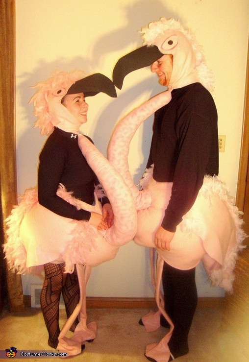 Flamingo Costumes