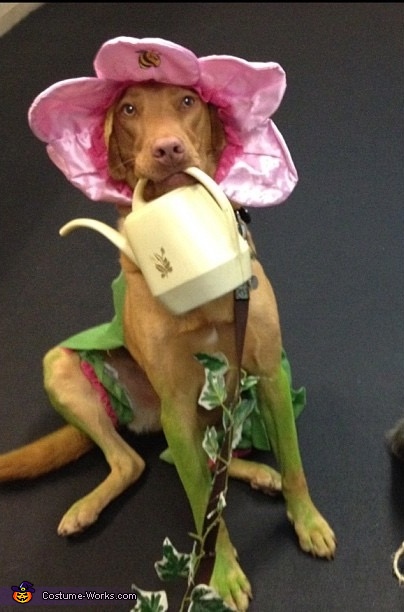 Flower Pup Costume