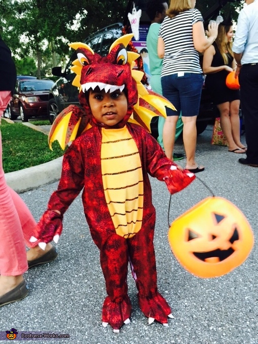 Flying Dragon Baby Costume