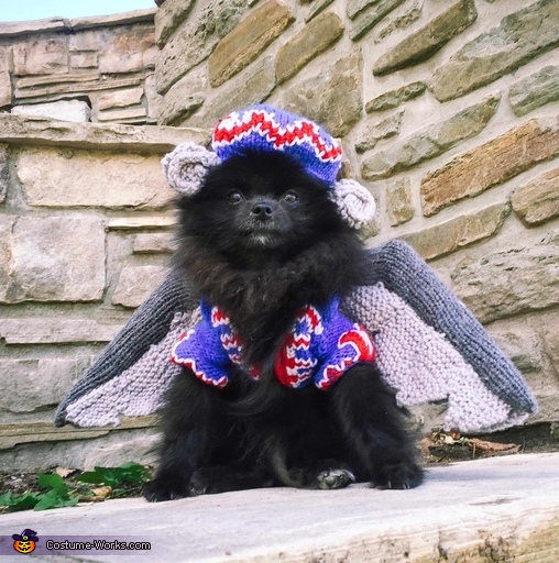 Flying Monkey Puppy Costume