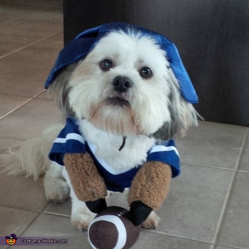 Football Fan Dog Costume