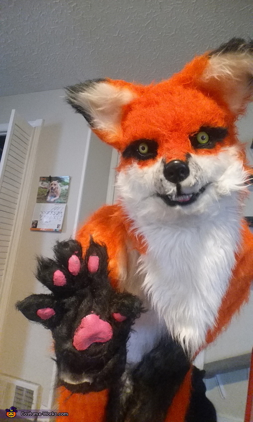 Fox Costume