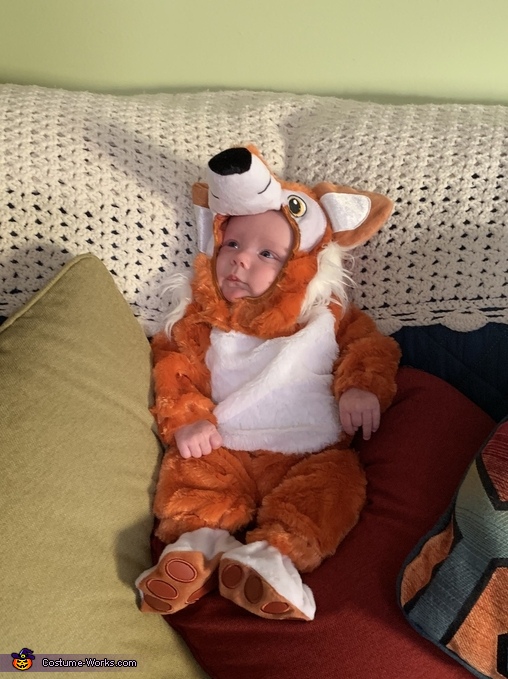 Fox Baby Costume | Affordable Halloween Costumes