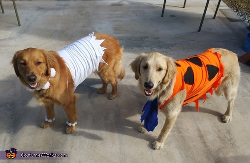 Fred and Wilma Costume