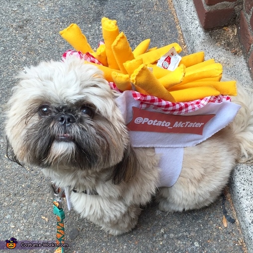 French Fries to Go Costume