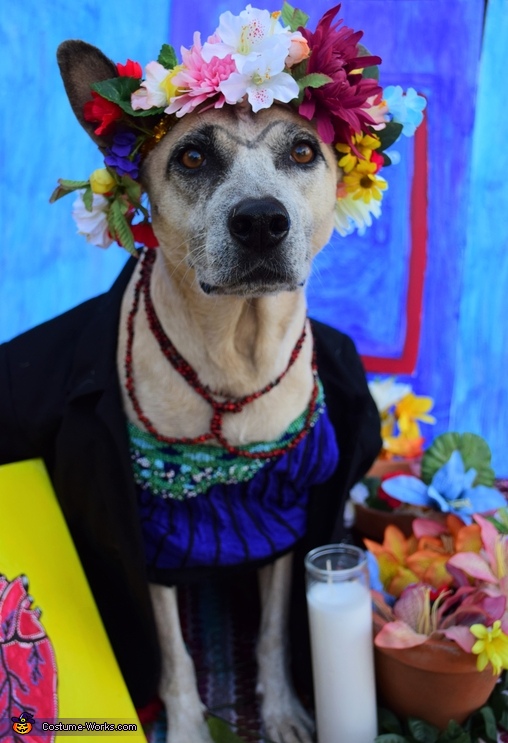 frida kahlo costume dog works