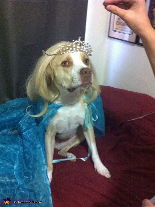 Frozen Elsa Dog Costume