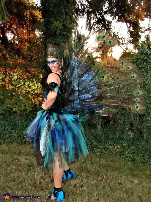 Peacock Feather Peacock Costume | Peacock Feather Ball Gown Dress - Girls  Party Tutu - Aliexpress