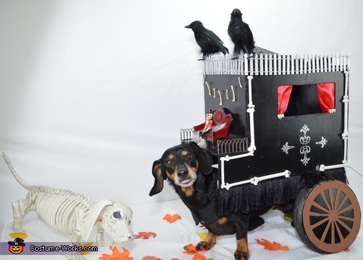 Funeral Carriage Costume