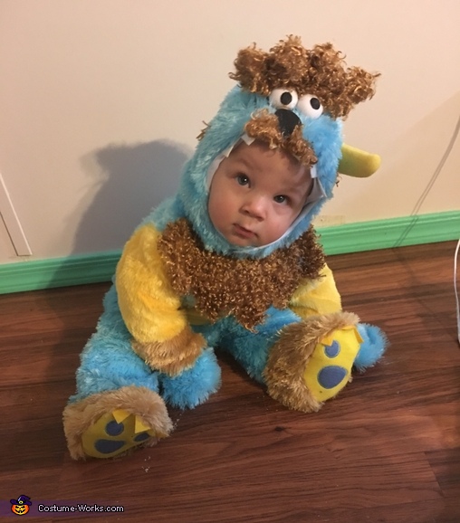 Fuzzy Monster Costume