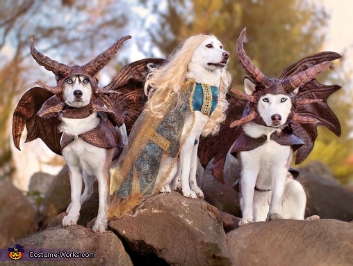 Dragon costumes 2024 for dogs