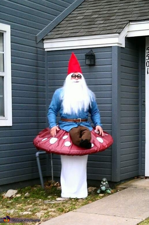 Garden Gnome Costume