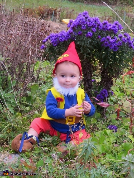 Diy Garden Gnome Baby Costume Best Diy Costumes