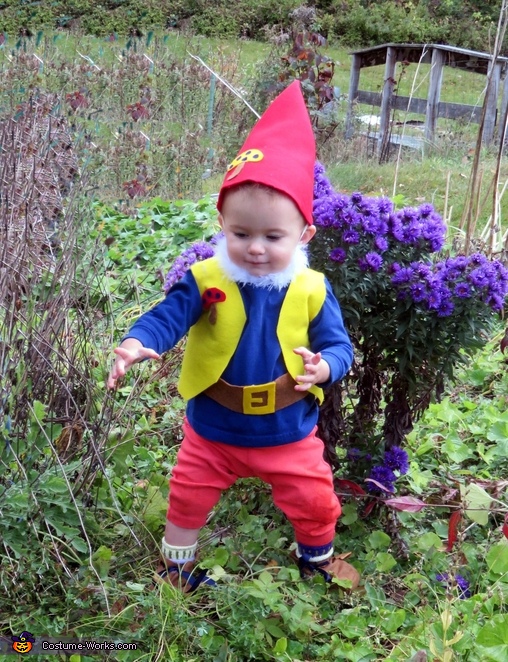 Diy Garden Gnome Baby Costume Best Diy Costumes Photo 3 3