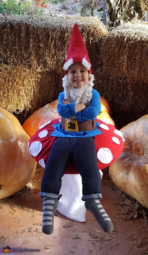 Garden Gnome sitting on a Mushroom Costume