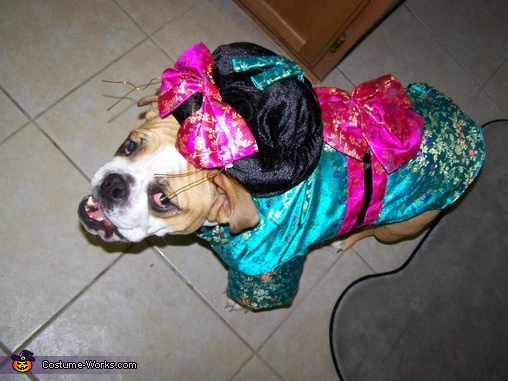Geisha Girl Dog Costume