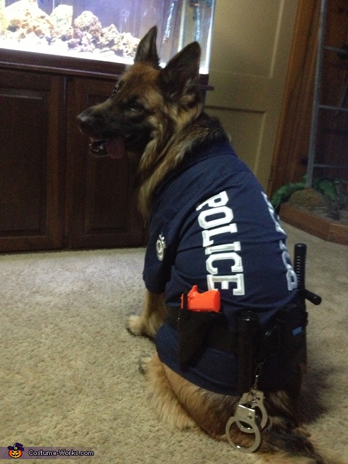 German Shepherd Police Dog Halloween Costume - Photo 5/5