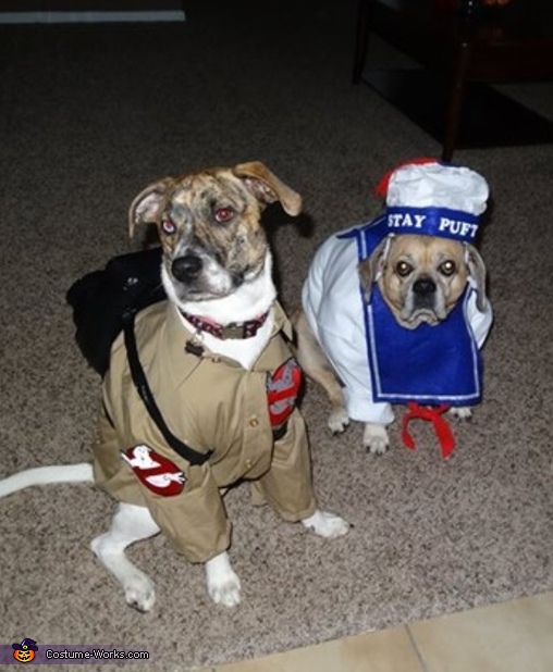 Ghostbusters Dog Costumes