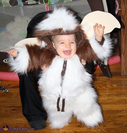 baby gizmo costume