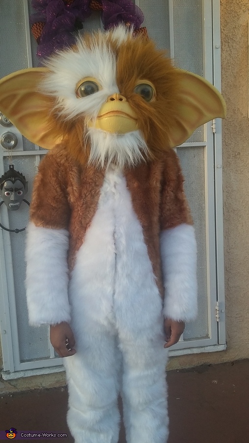 Gizmo Costume | No-Sew DIY Costumes