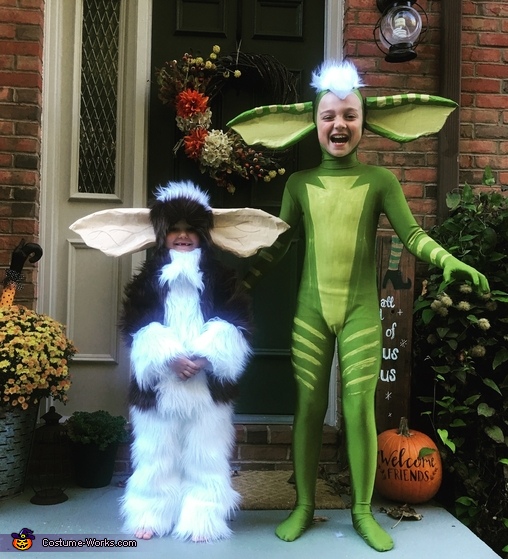 Gizmo & Stripe Costume