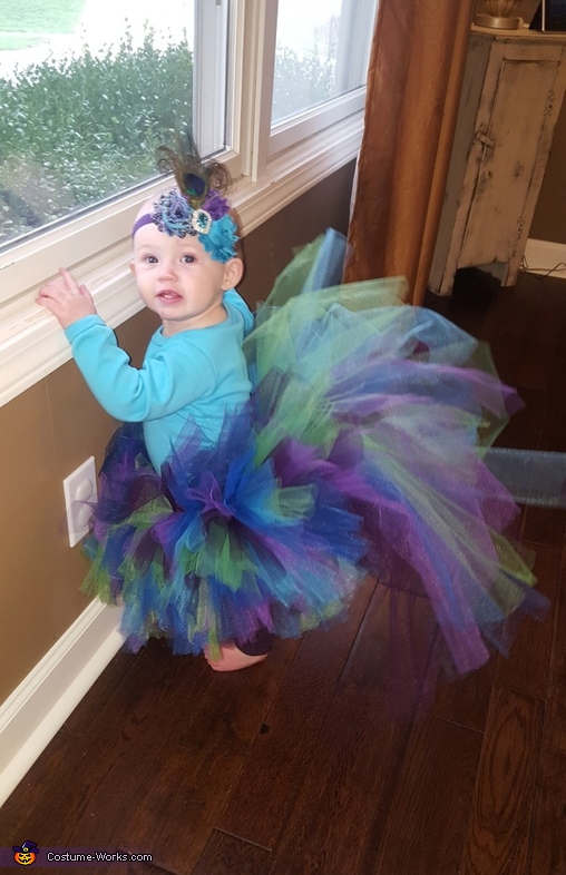 Glamorous Peacock Baby Costume | DIY Costumes Under $25 - Photo 2/3