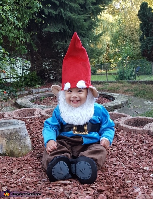 Gnome Costume