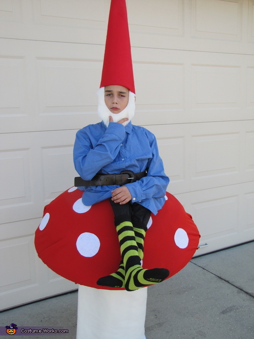 Gnome on a Toad Stool Costume