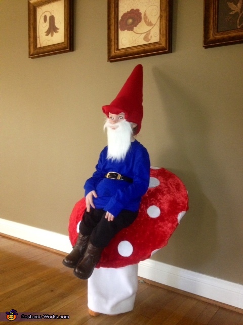 Gnome Sitting on a Toadstool Costume