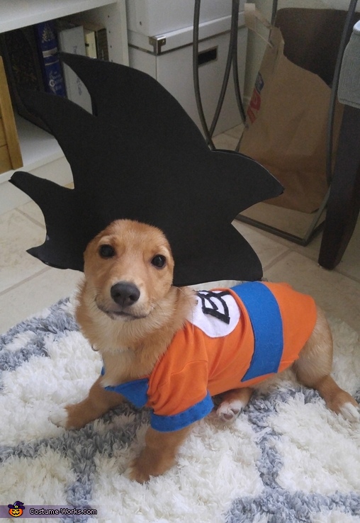 Goku Dog Costume