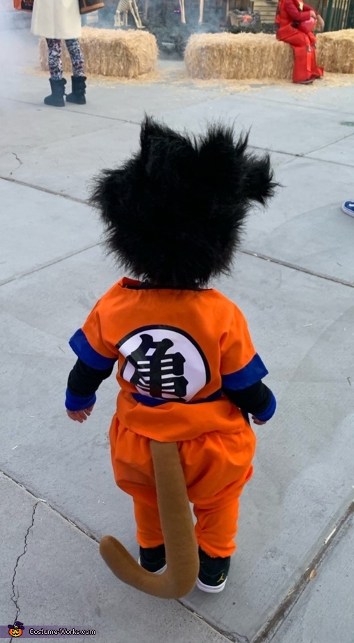 Goku from Dragon Ball Z Costume