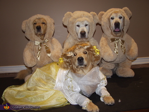 goldilocks dog costume