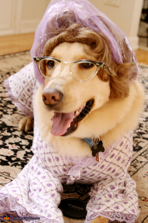 Big Bad Wolf / Grandma - Costume Idea for Dogs