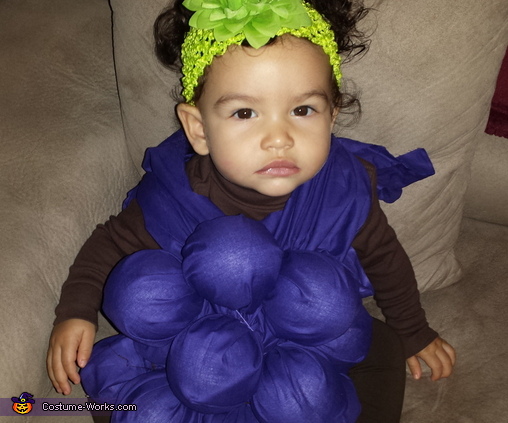 Grapes Baby Costume