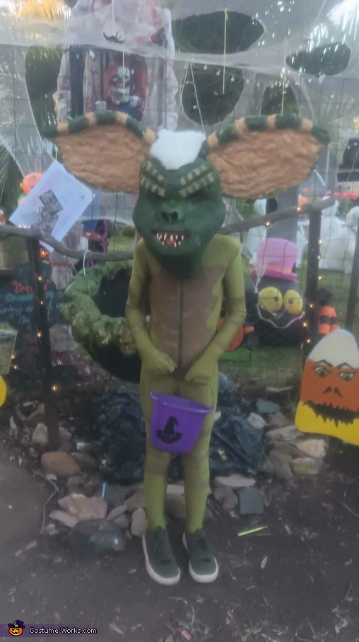 Gremlin Costume