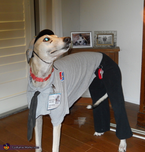 Greyhound Bus Driver Costume