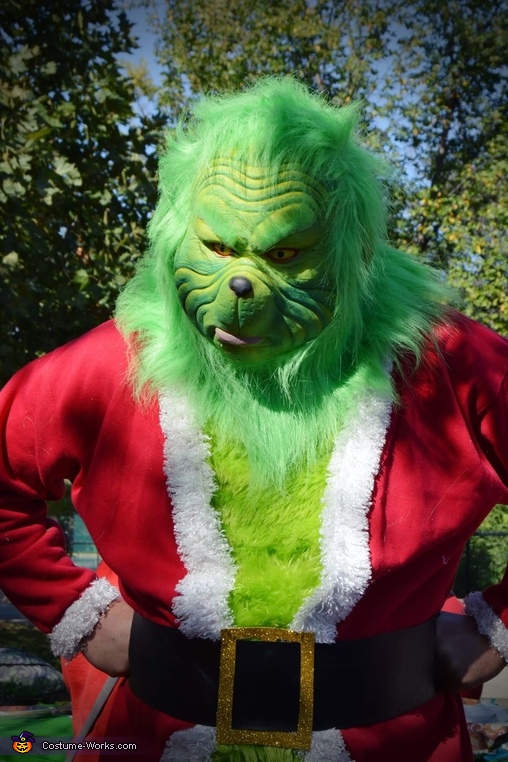 Grinch who Stole Christmas Costume
