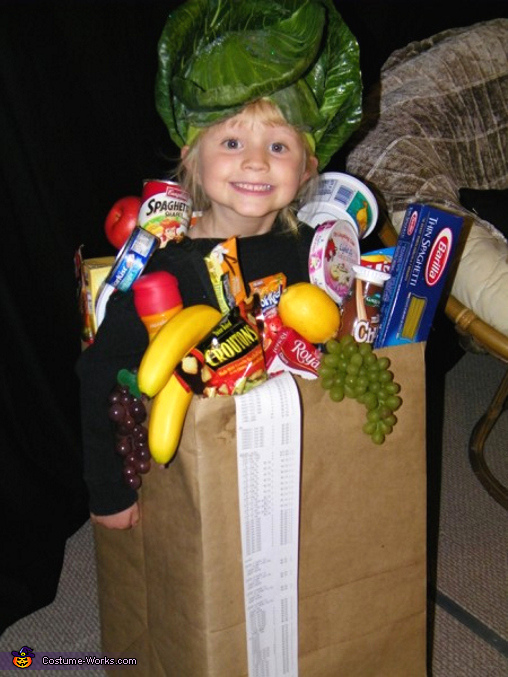 Bag of Groceries Homemade Halloween Costume