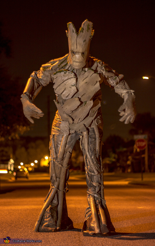 Groot Costume For Kids