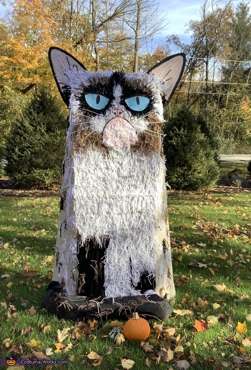 Grumpy Cat Costume | DIY Costumes Under $45