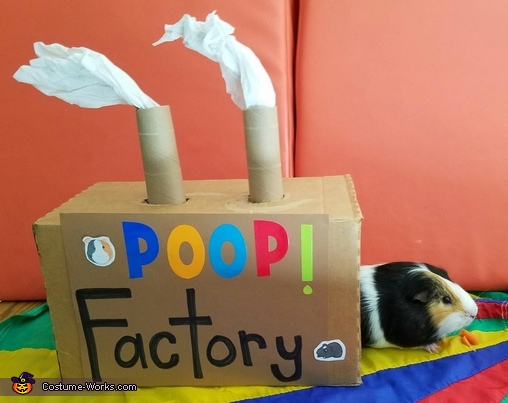 Guinea Pig Poop Factory Costume