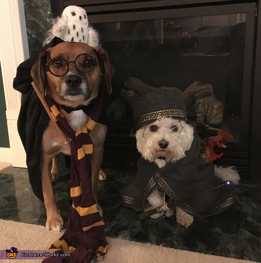 Hairy Pawter & Pawfessor Dumbledog Costume
