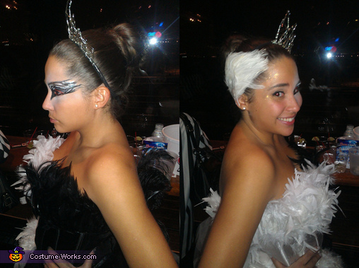 Black Swan vs White Swan Costume