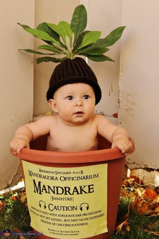 Mandrake root hat beanie baby hat Halloween hat Fall hat 