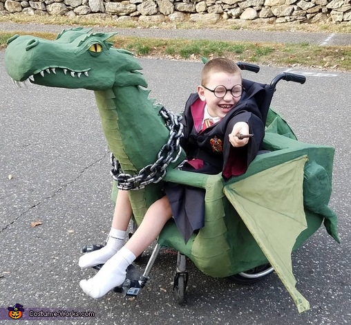 Harry Potter Riding a Dragon Costume