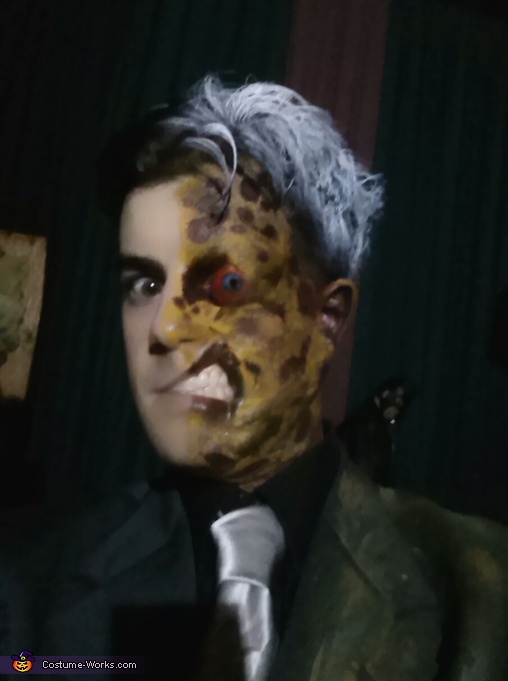 two face animated series costume