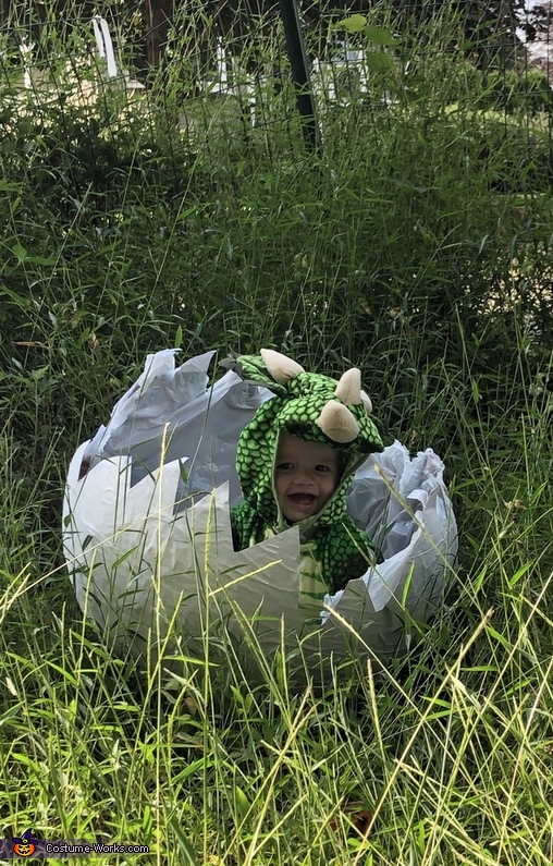 Hatching Dinosaur Costume