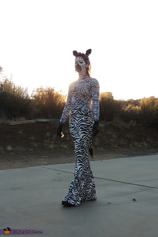 Head to Toe Zebra Costume