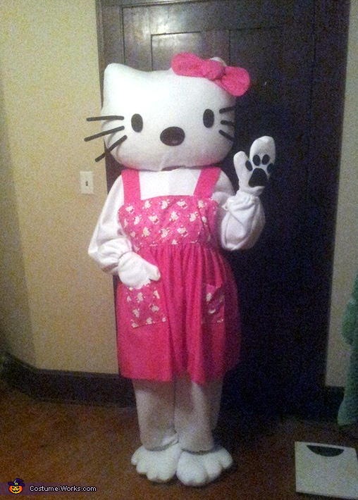 Diy Hello Kitty Costume For Adults