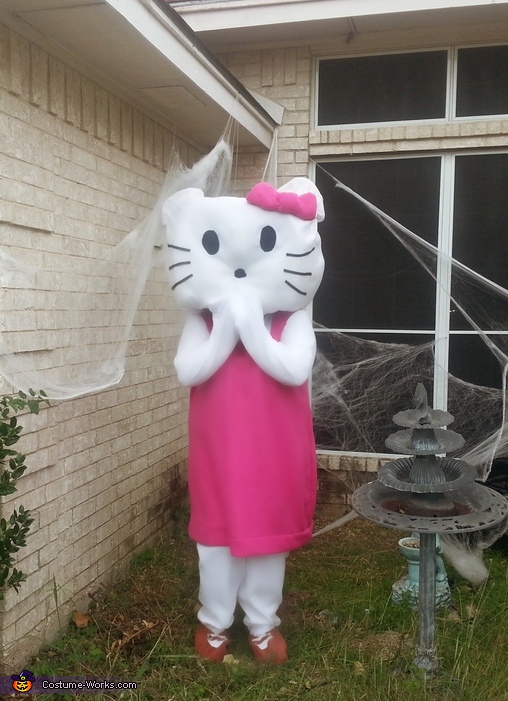 Hello Kitty Adult Costume Easy Diy Costumes Photo 5 5